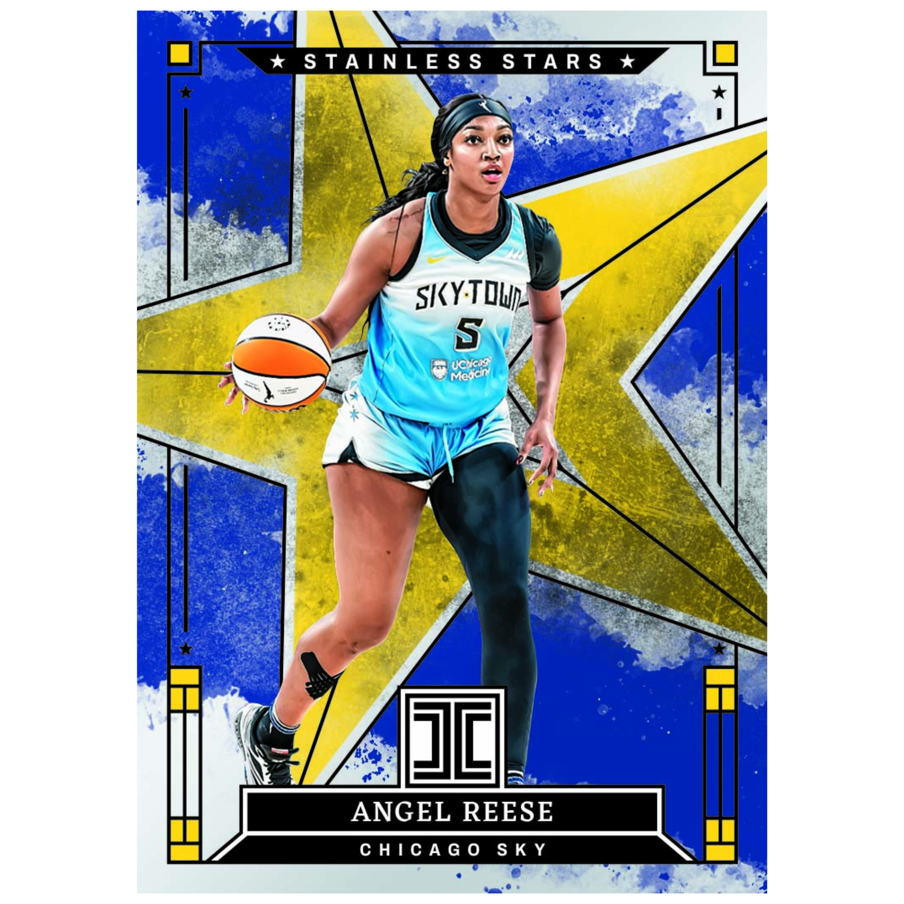 2025 Panini Impeccable WNBA Basketball Hobby Box