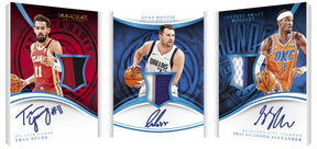 2024-25 Panini Immaculate Basketball Hobby Box